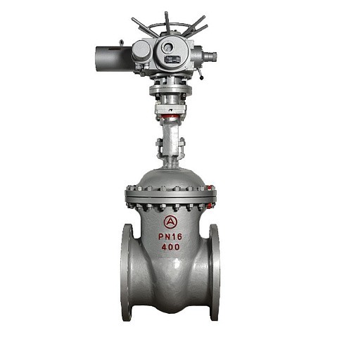Задвижка стальная 30с941нж DN 600 PN 16 фланцевая под привод тип Г, класс ''А'' L=800мм САЗ АВАНГАРД купить в Саратове | "Проконсим"