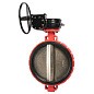 Затвор дисковый поворотный DN 350 PN 16 межфланцевый с диском из чугуна уплотнение-EPDM редуктор Рашворк 200 купить в Саратове | "Проконсим"
