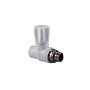 Вентиль для радиатора ПП 20-1/2'' PN 25 прямой с американкой белый РТП 10531 купить в Саратове | "Проконсим"