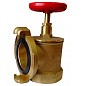 Клапан пожарный латунный КПАЛ DN 65 PN 16 угловой 90гр. муфта-соединительная головка Апогей купить в Саратове | "Проконсим"