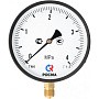 Манометр Росма ТМ-610Р 4,0 МПа /40 ат 150мм G1/2'' купить в Саратове | "Проконсим"