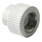 Муфта комбинированная ПП 25-3/4'' PN 25 с внутренней резьбой белая Pro Aqua PA22014P купить в Саратове | "Проконсим"
