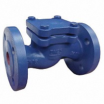 Клапаны обратные подъемные DN 15-200 PN 16 чугунные фланцевые до 250гр. АСТА ОК113 купить в Саратове | "Проконсим"