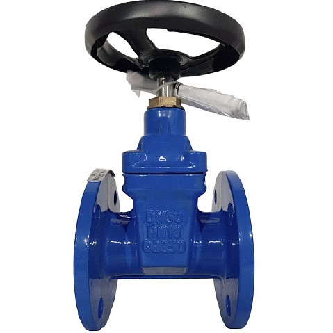 Задвижка чугунная 30ч39р DN 50 PN 10(16) с обрезиненным клином EPDM до 120гр. фланцевый ручной СИБЗТА купить в Саратове | "Проконсим" (930130200)