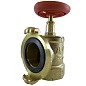 Клапан пожарный латунный КПАЛ DN 50 PN 16 угловой 90гр. муфта-соединительная головка Апогей купить в Саратове | "Проконсим"
