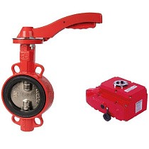 Затворы чугунные дисковые DN 50-300 PN 16 с электроприводом 220В диск из нержавеющей стали РАШВОРК купить в Саратове | "Проконсим"