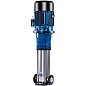 Насос многоступенчатый вертикальный CNP CDM10-1FSWPR 0,75 кВт 3х220В/3х380В чугун фланцевый DN 40 PN 25 120гр. купить в Саратове | "Проконсим"