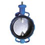 Затворы поворотные дисковые DN 200-800 PN 16 межфланцевые с голым штоком Seagull купить в Саратове | "Проконсим"
