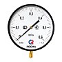 Манометр Росма ТМ-810Р.00 котловый, 250мм, 0-0.25МПа, резьба M20x1,5, радиальный, класс точности 1,5 купить в Саратове | "Проконсим"