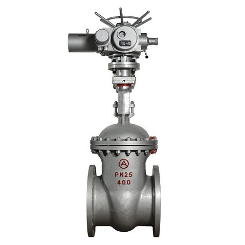 Задвижка стальная 30с964нж DN 600 PN 25 фланцевая под привод тип Г, класс ''А'' L=800мм САЗ АВАНГАРД купить в Саратове | "Проконсим"