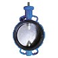 Затвор дисковый поворотный DN 250 PN 16 межфланцевый с диском из чугуна со штоком Seagull купить в Саратове | "Проконсим"
