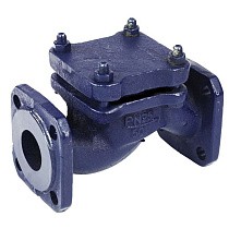 Клапаны обратные 16кч9нж подъёмные DN32-80 PN25 нержавеющая сталь фланцевые до 300гр. ЛУИДОР купить в Саратове | "Проконсим"