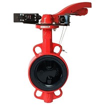 Затворы чугунные дисковые DN 50-250 PN 16 межфланцевые с концевиками и чугунным диском рычаг РАШВОРК купить в Саратове | "Проконсим"