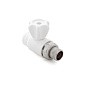 Кран шаровой для радиатора ПП 20-1/2'' PN 25 прямой с американкой белый РТП 10583 купить в Саратове | "Проконсим"
