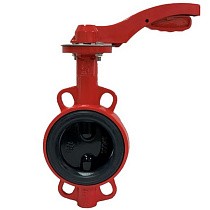 Затворы чугунные дисковые DN 50-100 PN 16 с электроприводом 24В и чугунным диском РАШВОРК купить в Саратове | "Проконсим"