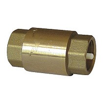 Клапан латунный обратный пружинный DN 100 PN 10 муфтовый пластиковый шток, SGL купить в Саратове | "Проконсим"