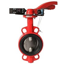 Затворы чугунные дисковые DN 50-250 PN 16 межфланцевые с концевиками диск из нержавеющей стали рычаг РАШВОРК купить в Саратове | "Проконсим"