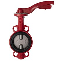 Затворы поворотные дисковые DN 40-250 PN 16 межфланцевые с чугунным диском рычаг Рашворк 200 купить в Саратове | "Проконсим"