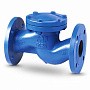 Клапан обратный подъемный фланцевый FAF 2250, DN 50, PN 16 корпус-чугун, диск-нержавеющаясталь, уплотнение-нержавеющая сталь купить в Саратове | "Проконсим"
