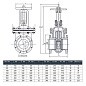 Задвижка чугунная 30ч6бр DN 50 PN 16(10) фланцевая параллельная ЛМЗ Семенов купить в Саратове | "Проконсим"